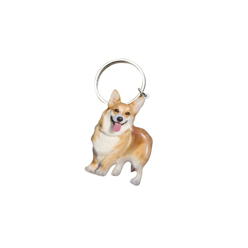 COLGANTE ó LLAVERO MASCOTAS PERSONALIZADO, BAJO PEDIDO